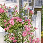 Commerce Street Roses, Provincetown